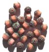 30 8mm Faceted Cathedral Opaque Coral Pink Topaz with Grey Ends